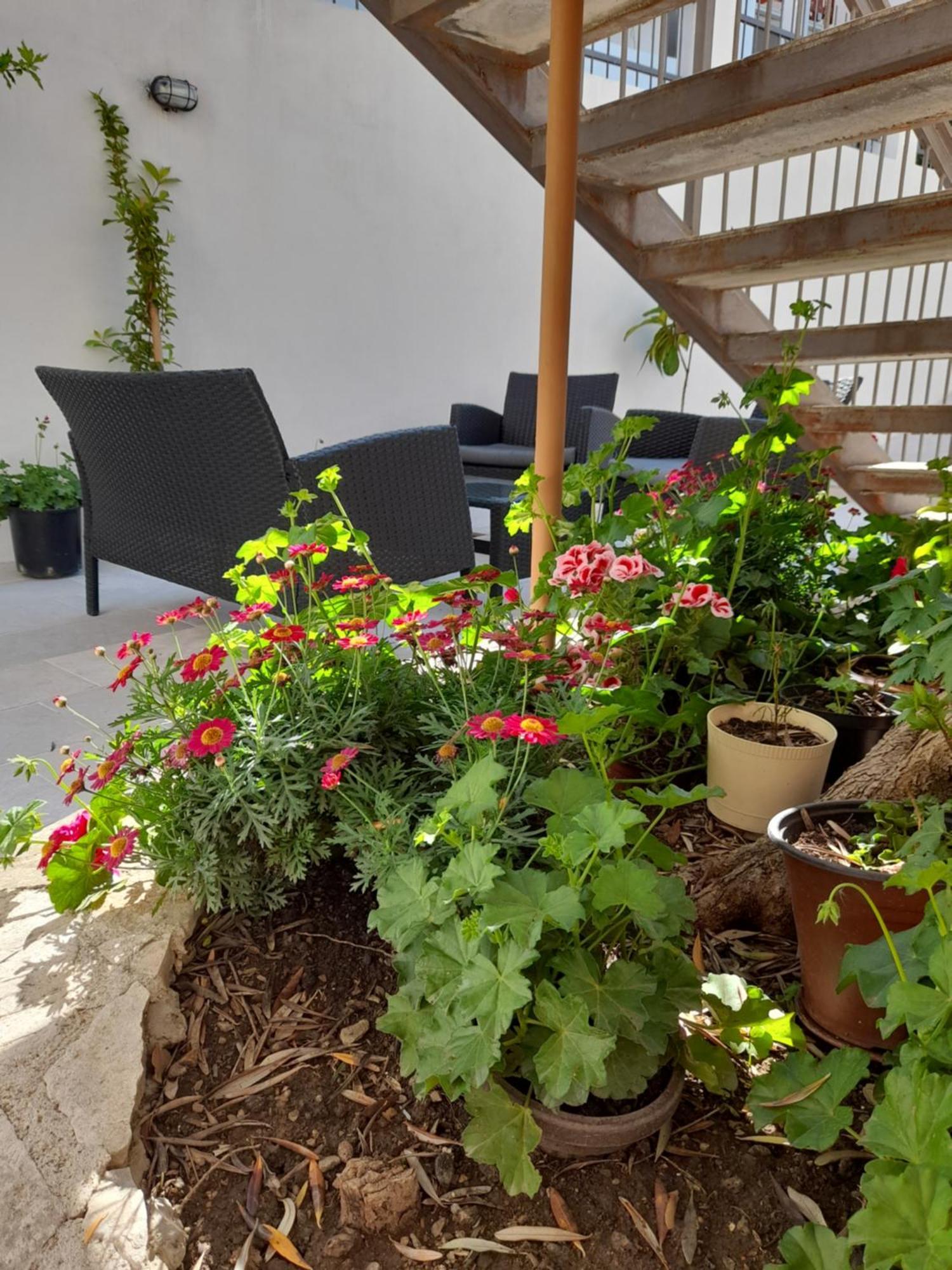 " Villa Kruna Lux " Budva Exterior foto